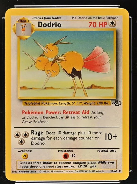 Dodrio