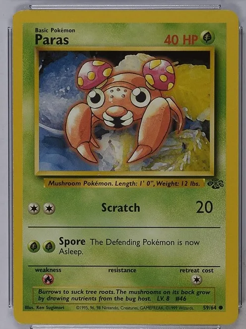 Paras