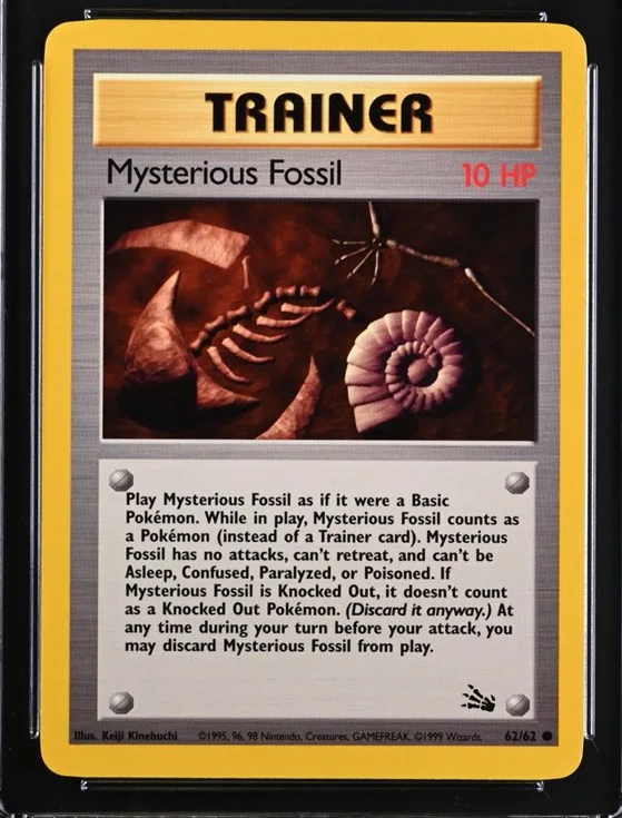 Mysterious Fossil