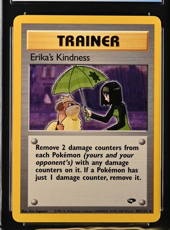 Erika's Kindness