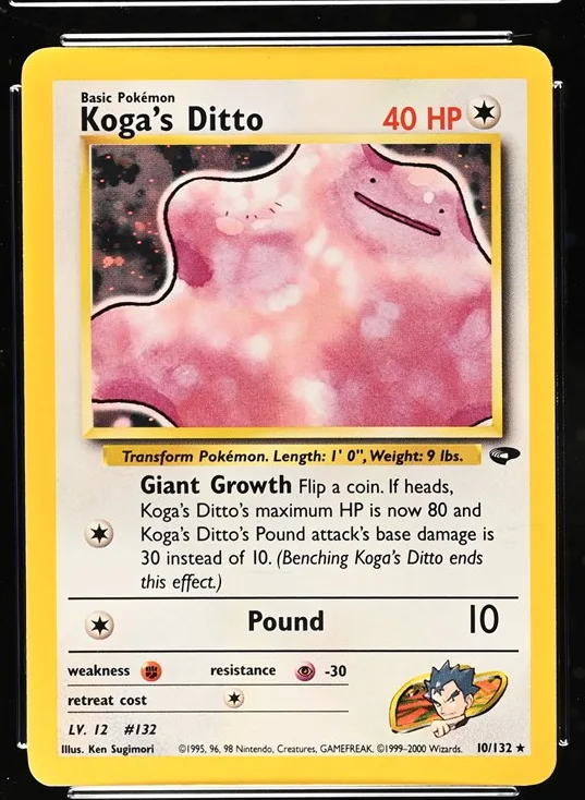 Koga's Ditto