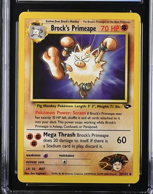 Brock's Primeape