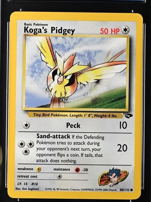 Koga's Pidgey