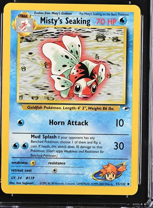 Misty's Seaking