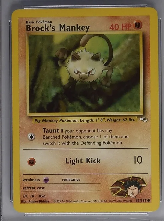 Brock's Mankey