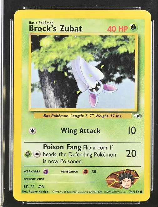 Brock's Zubat