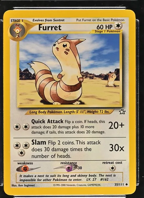 Furret