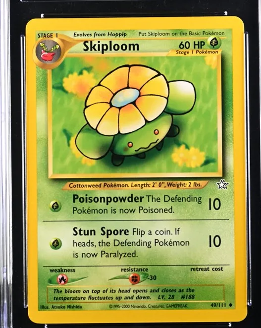 Skiploom