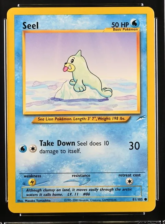 Seel