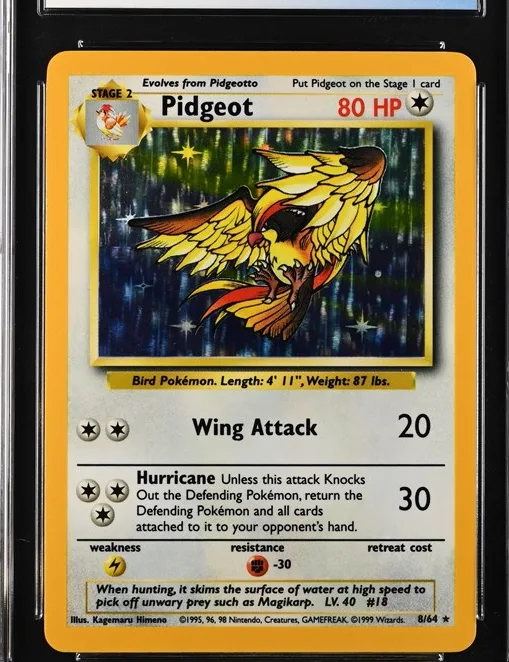 Pidgeot