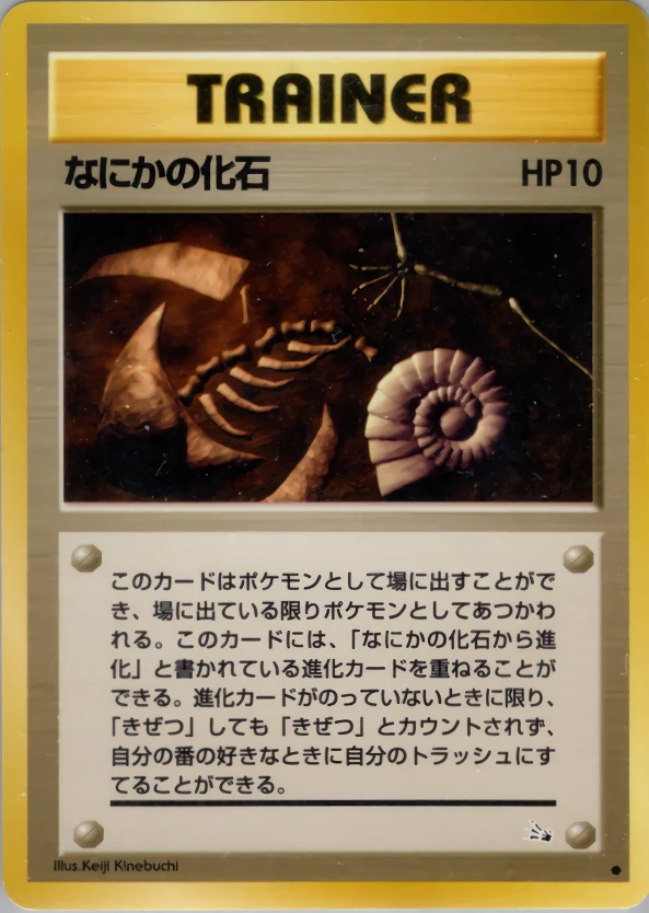 Mysterious Fossil