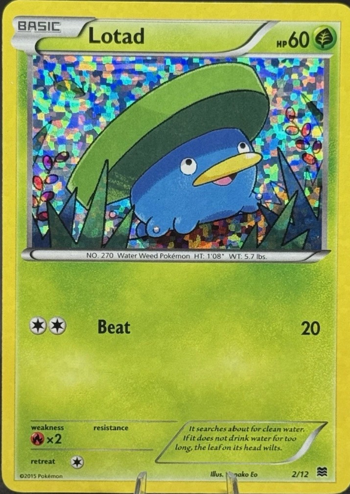 Lotad