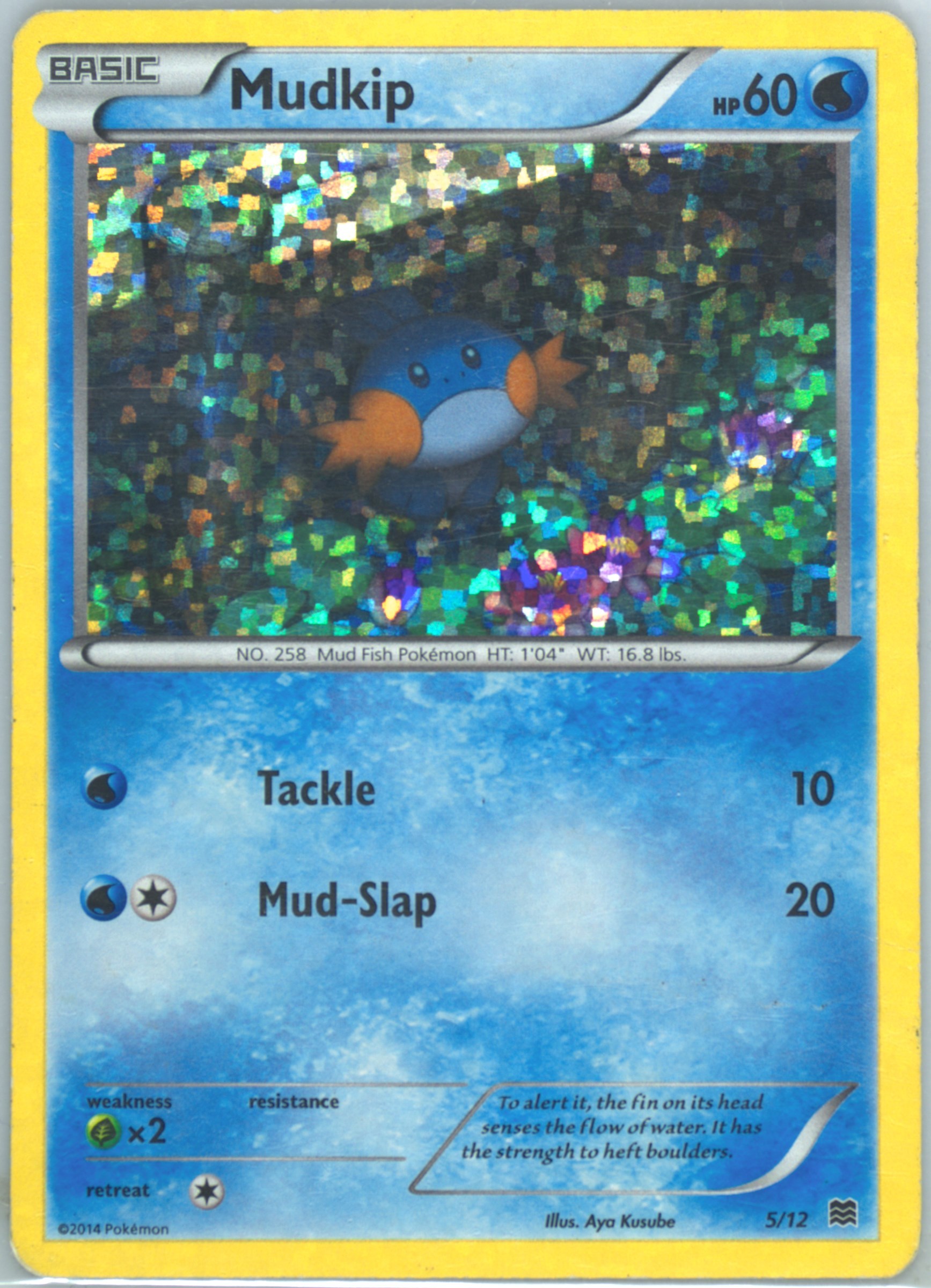 Mudkip