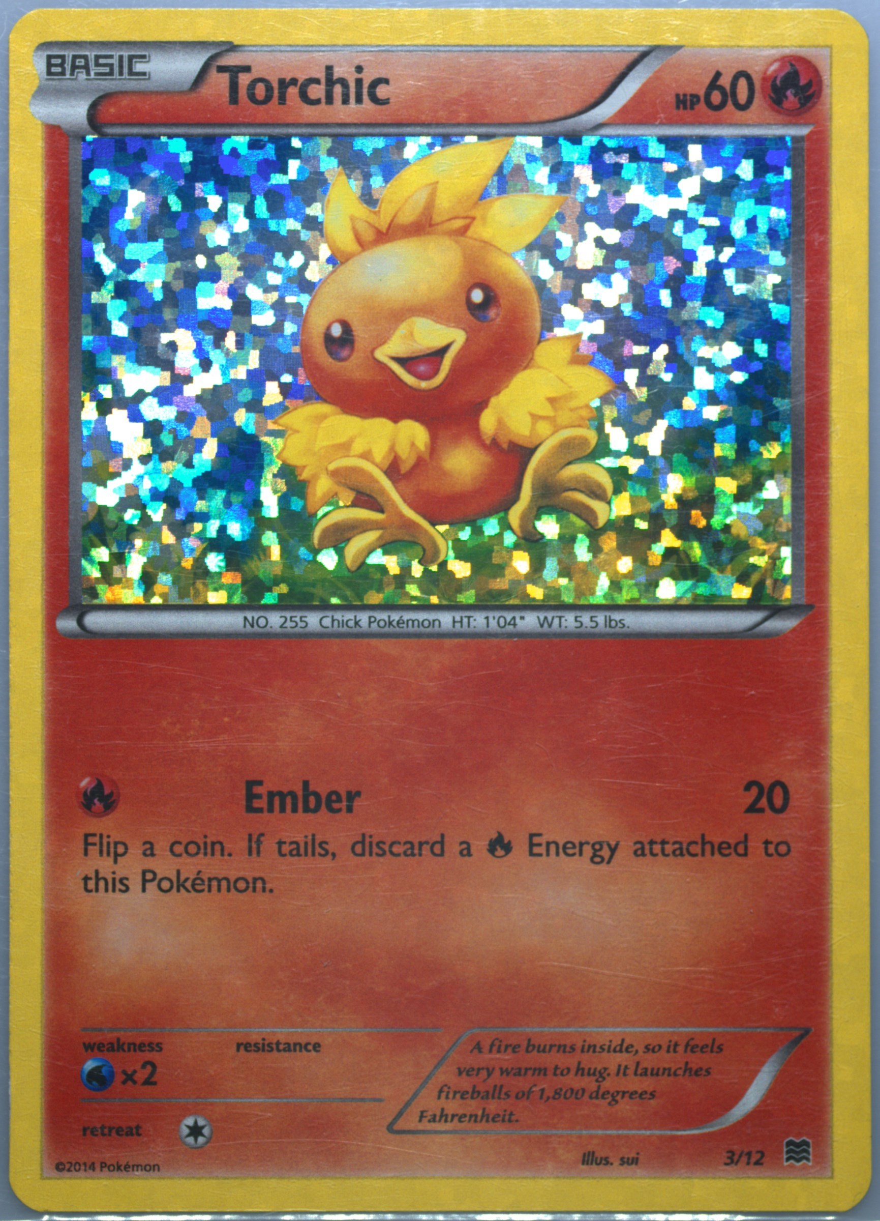 Torchic