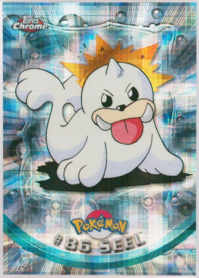 Seel