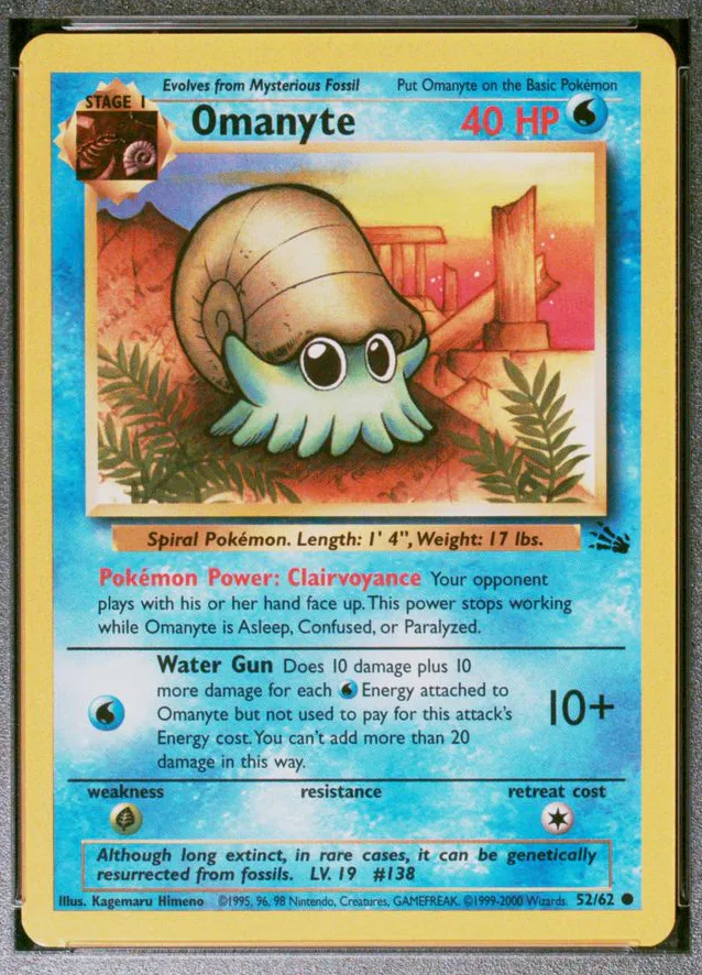 Omanyte