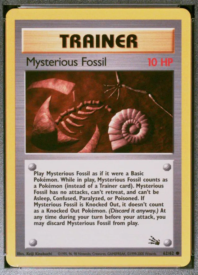 Mysterious Fossil