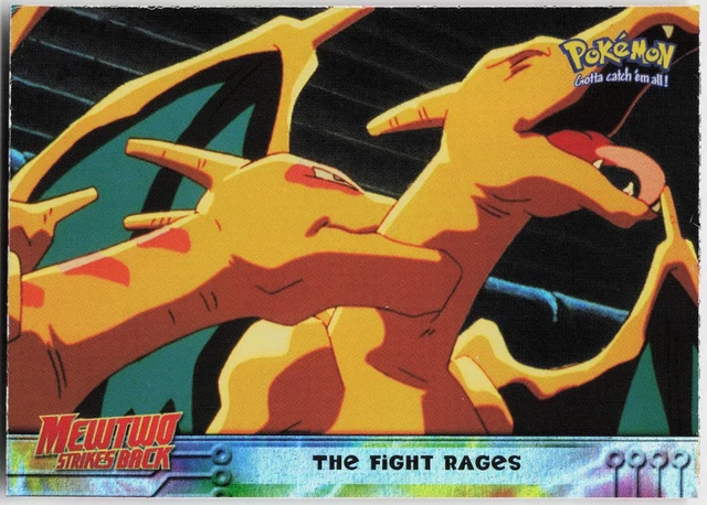 The Fight Rages