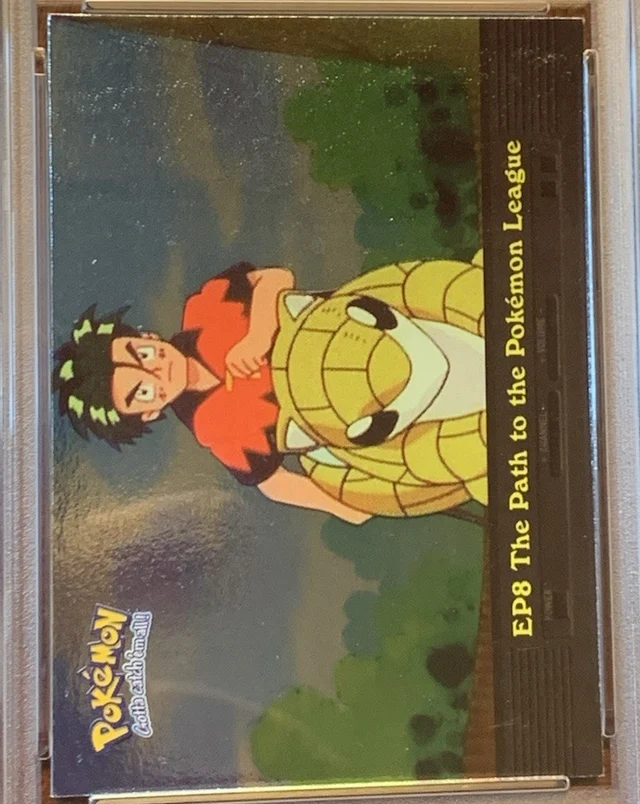 The Path to the Pokémon League