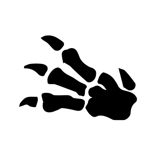 1997 Japanese Fossil set logo
