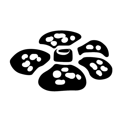 1997 Japanese Jungle set logo